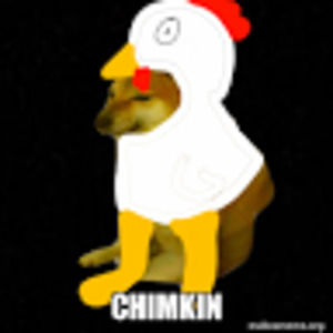 Meet your Posher, Maddie